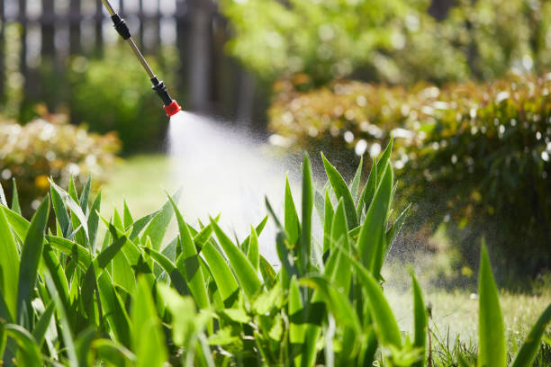 24/7 Emergency Termite Control experts in Corning, AR